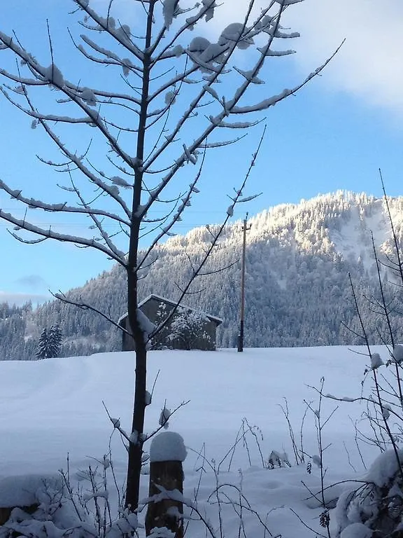 Bed & Breakfast Jungholz - Pension Katharina Austria