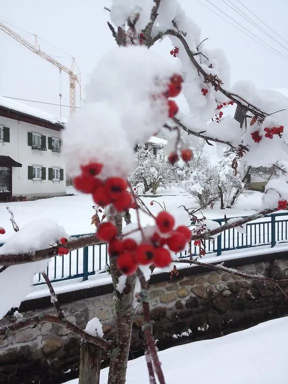 Bed & Breakfast Jungholz - Pension Katharina 2*,  Austria